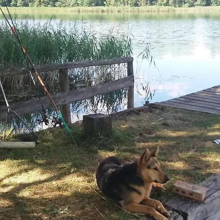 Domek Na Mazurach Elk. Rogale Stare Juchy Eksteriør bilde