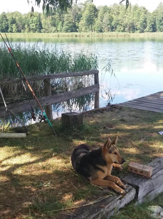 Na Mazurach Elk. Rogale