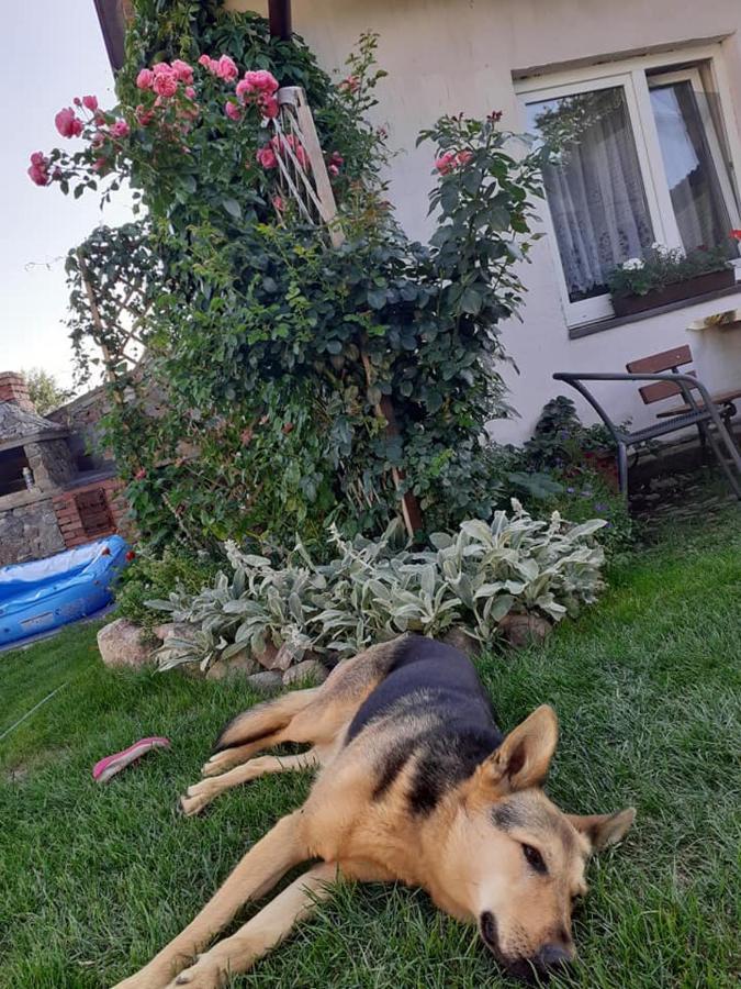 Apartment Na Mazurach Elk. Rogale Stare Juchy