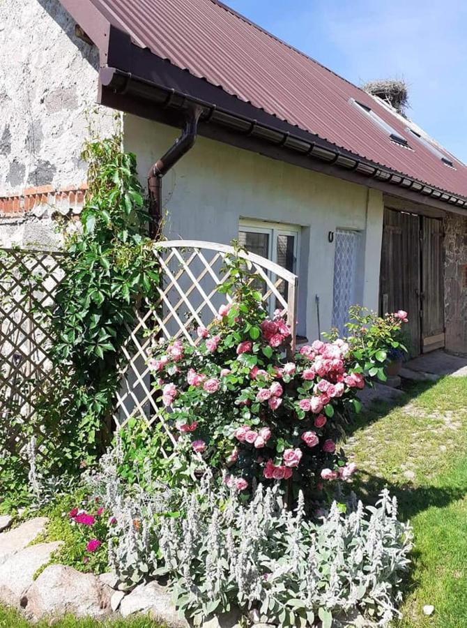 Na Mazurach Elk. Rogale Apartment